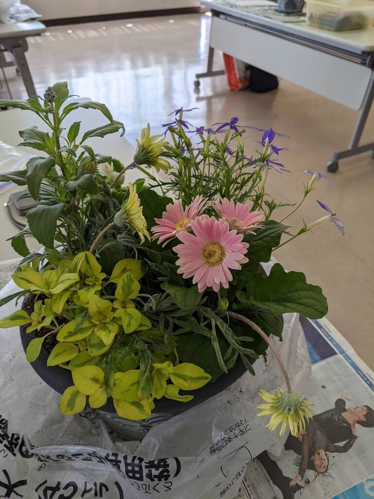 今月の寄植え講座