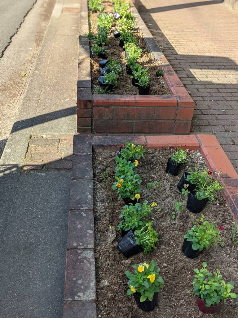 只今、植え替え花＊花の真っ最中!3