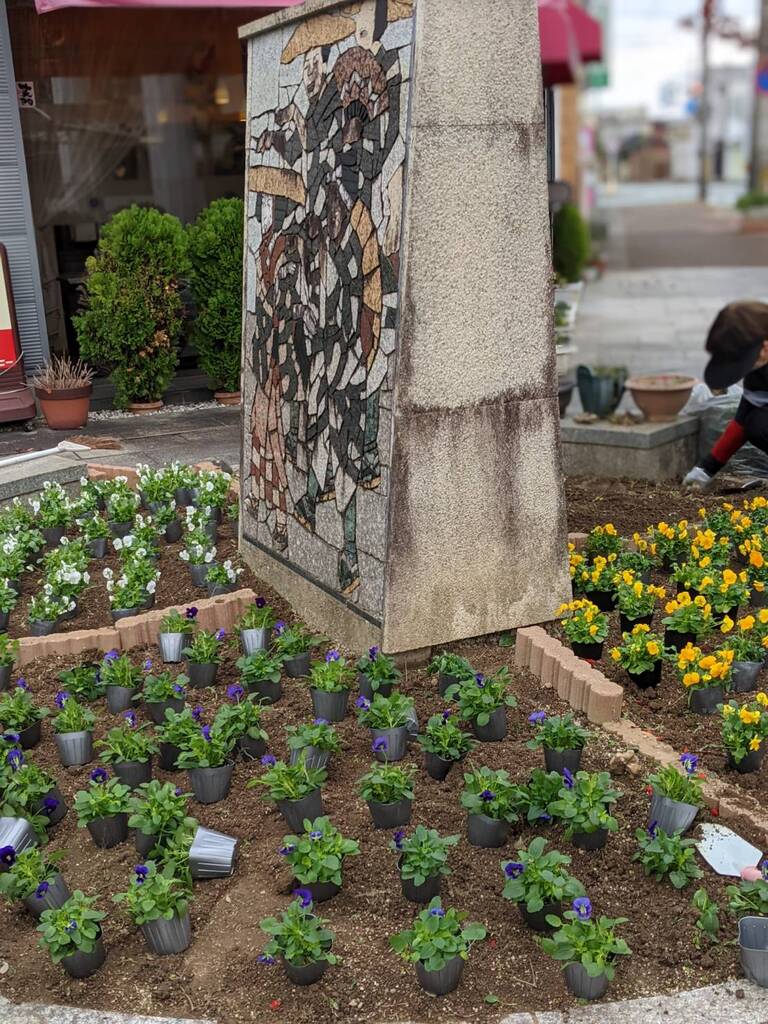 只今、植え替え花＊花の真っ最中!4