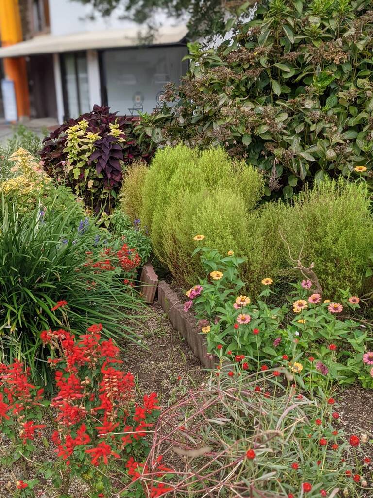 只今、植え替え花＊花の真っ最中!5