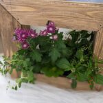 今月の寄植え講習会