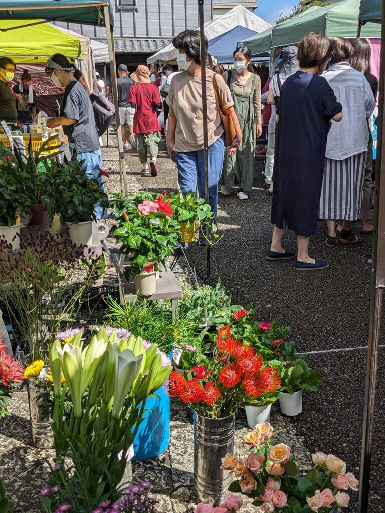 だいどこ市