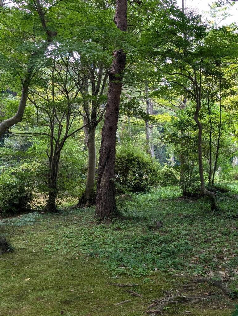 神宮徴古館3