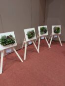 11/15 11/16 伊勢文化サークル協会　御薗支部