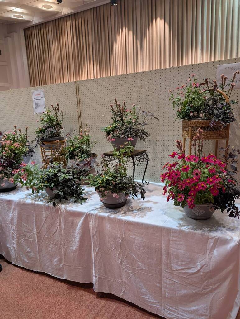 伊勢文化サークル協会　御薗支部7