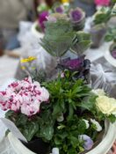 迎春寄せ植え講座第5弾