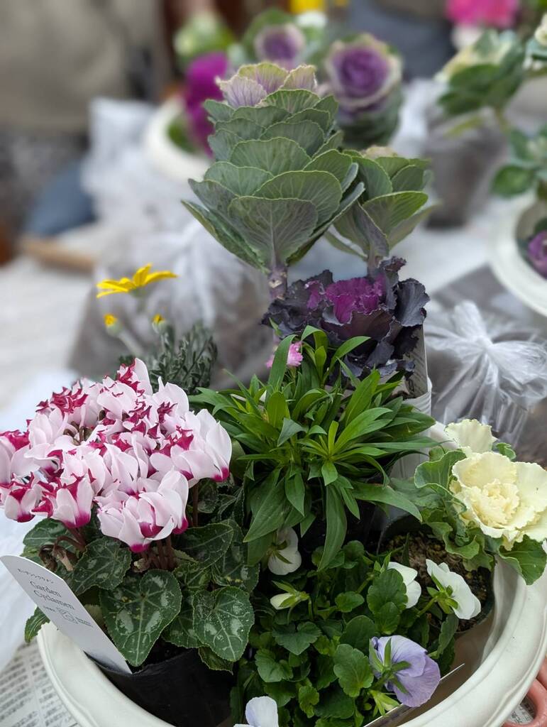 迎春寄せ植え講座第5弾