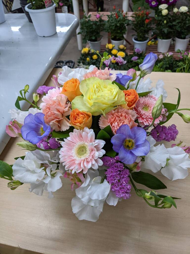 バレンタイン　お雛様節句　卒業式入学式　退職異動　子供の日節句　母の日父の日3