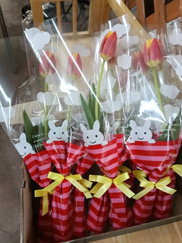 3月も後半を迎えます13