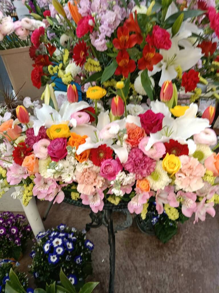 3月も後半を迎えます4